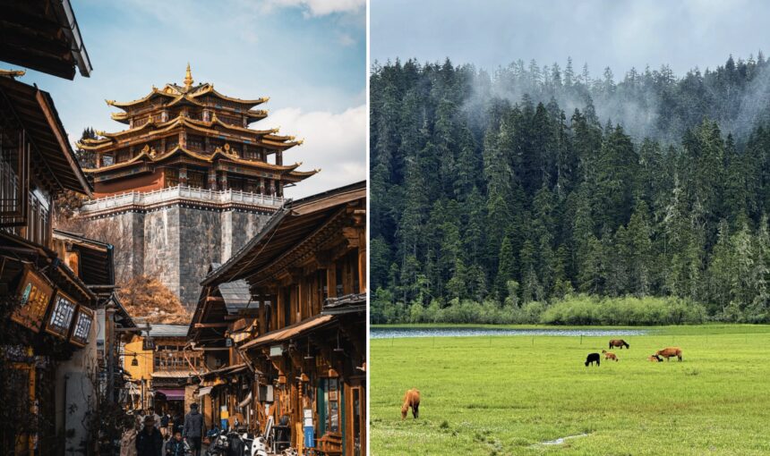 8-Day Classic Yunnan Tour: Kunming, Dali, Lijiang & Shangri-La