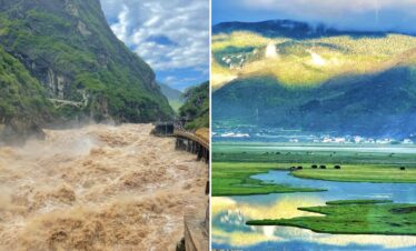 Tiger Leaping Gorge and Napa Lake, yunnan, chinatrip, Split-image composition: left side shows a brown, tumultuous river rushing through a steep green canyon with a small bridge; right side features a valley with green hills, terraced fields, and distant cows at the base of mountains.