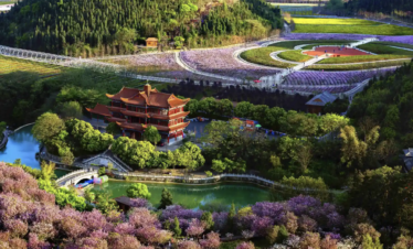 baili azalea belt, guizhou flower, china tour, A red pagoda-style building on a hill amid purple blossom trees and winding paths through a landscaped park with a blue pond in the foreground