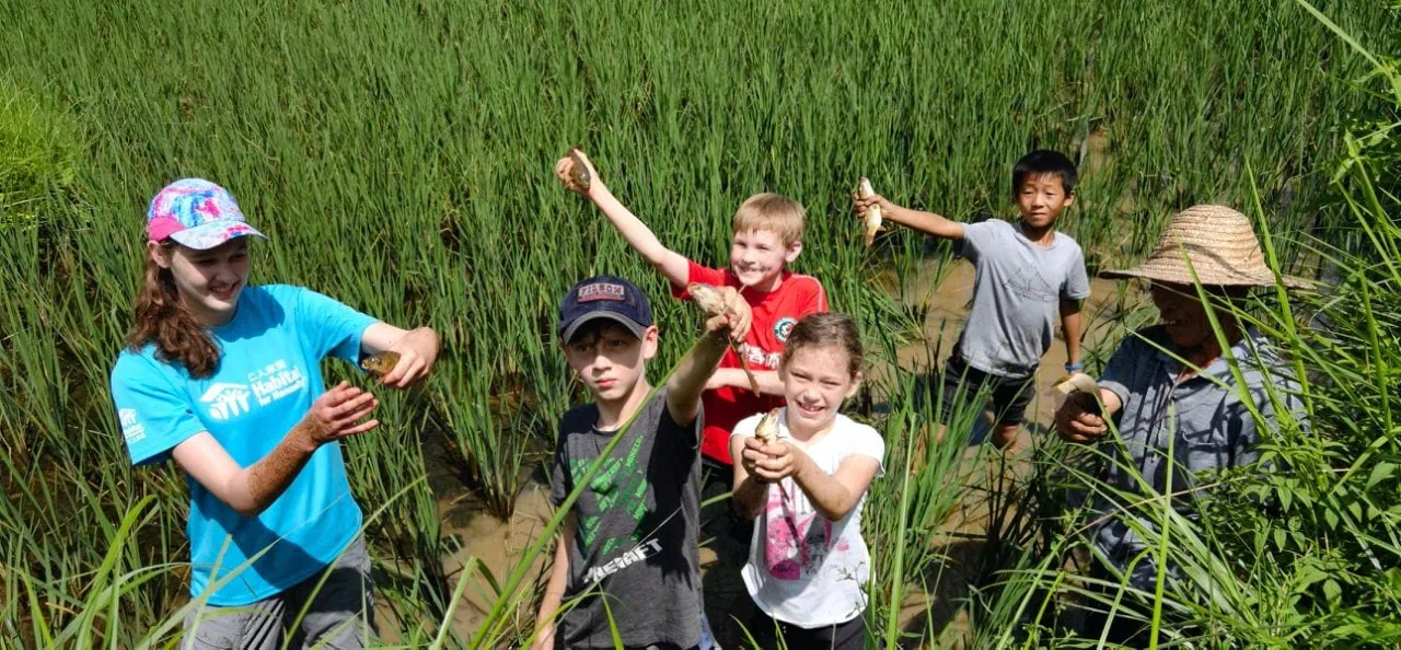 School trip in Guizhou,Chinatour Group of children standing in a flooded rice field, proudly showing muddy clumps of roots and stalks they harvested.