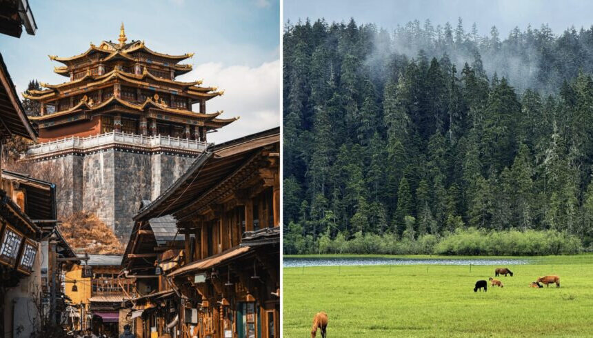 Discover Authentic China Through Tailor-Made Travel Experiences