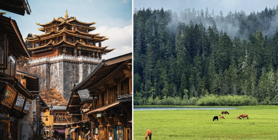 Split image: left traditional Chinese village with a pagoda; right grassy meadow with grazing cows and a forest backdrop.