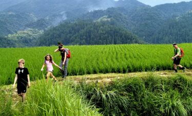 School trip in Guizhou, chinatrip, Family group walking through a lush green rice field with mountains in the distance; adults and children with backpacks.