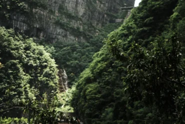 Lush, forested canyon with steep, rocky cliffs; a narrow waterfall runs down the left-center of the gorge, viewed from dense green foliage in the foreground.