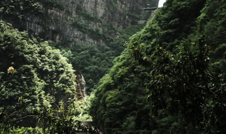 Cómo planificar tu viaje al Distrito Kárstico de Wulong para vivir una experiencia perfecta