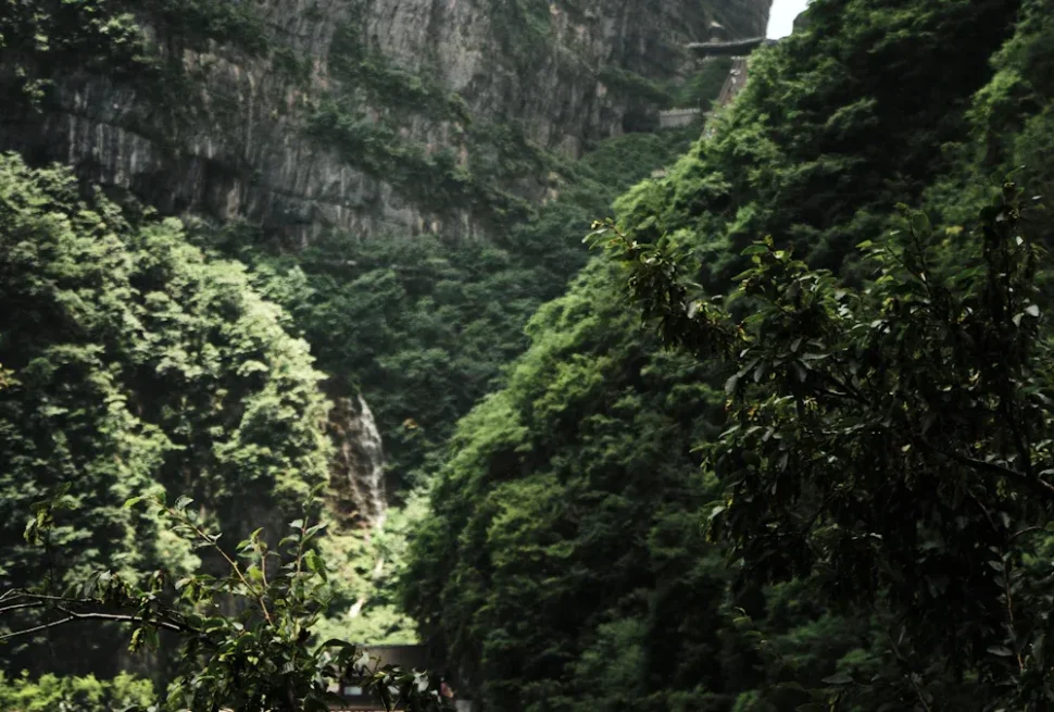 Lush, forested canyon with steep, rocky cliffs; a narrow waterfall runs down the left-center of the gorge, viewed from dense green foliage in the foreground.
