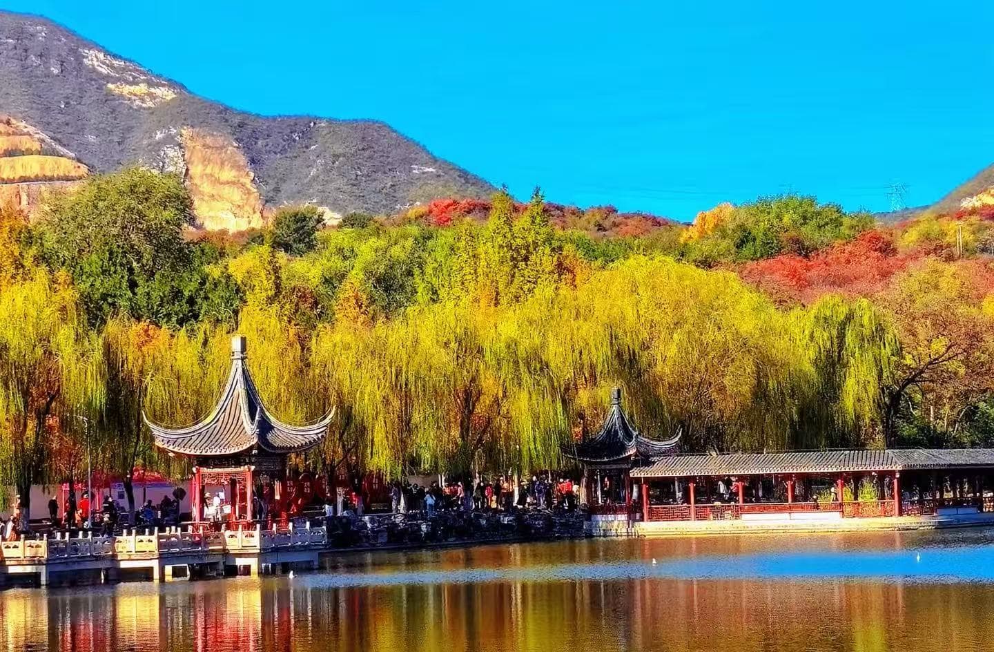 Lakeside scene with a traditional Chinese pavilion, yellow willows, and shoppers near a red railing against a mountainside.