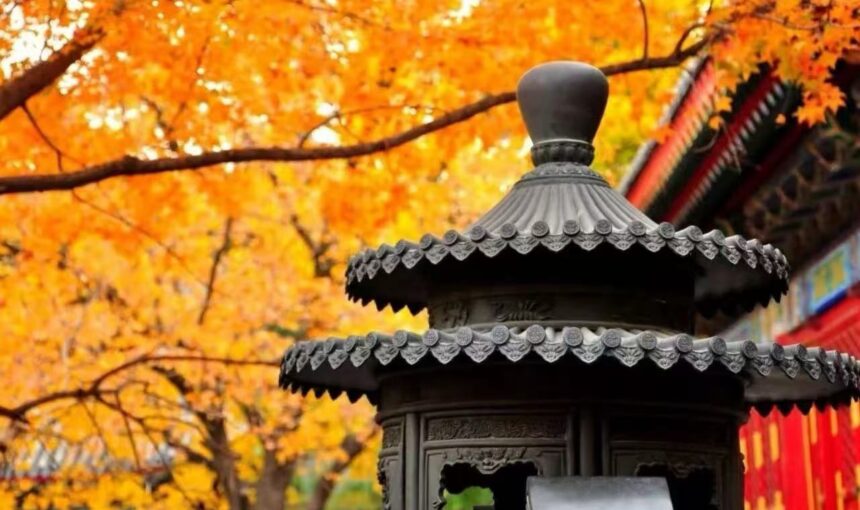 Top Things to Know Before Visiting Fragrant Hills Park