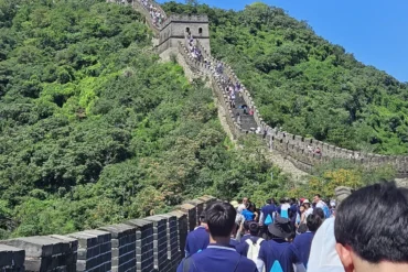 Crowded section of the Great Wall winding up a forested hillside on a sunny day with stone battlements.