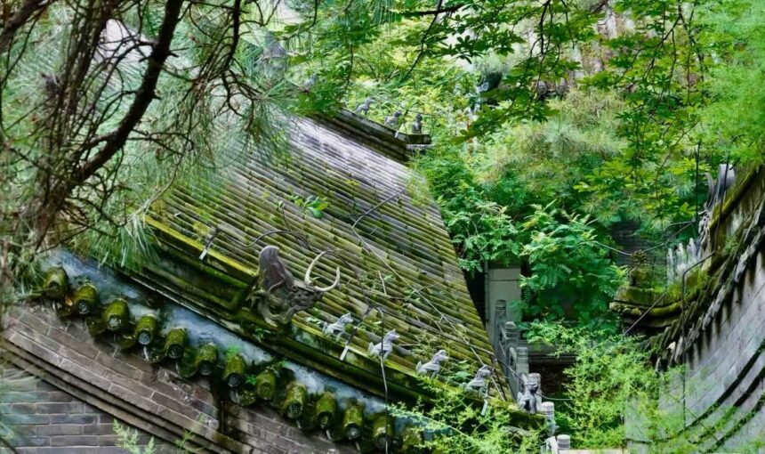 Everything You Need to Know Before Visiting Tanzhe Temple