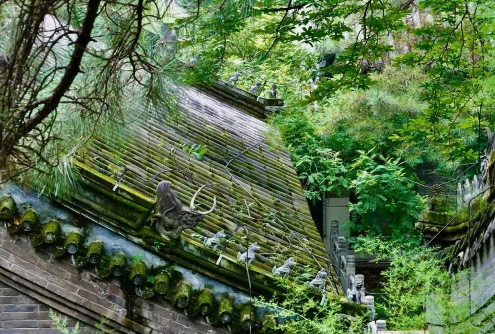 Tanzhe Temple,Beijing,Chinatour Overgrown ancient temple roof with curved tiled eaves and stone dragon ornaments along the ridge, surrounded by lush green foliage