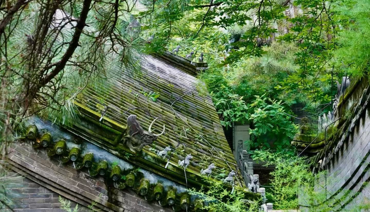 Tanzhe Temple,Beijing,Chinatour Overgrown ancient temple roof with curved tiled eaves and stone dragon ornaments along the ridge, surrounded by lush green foliage