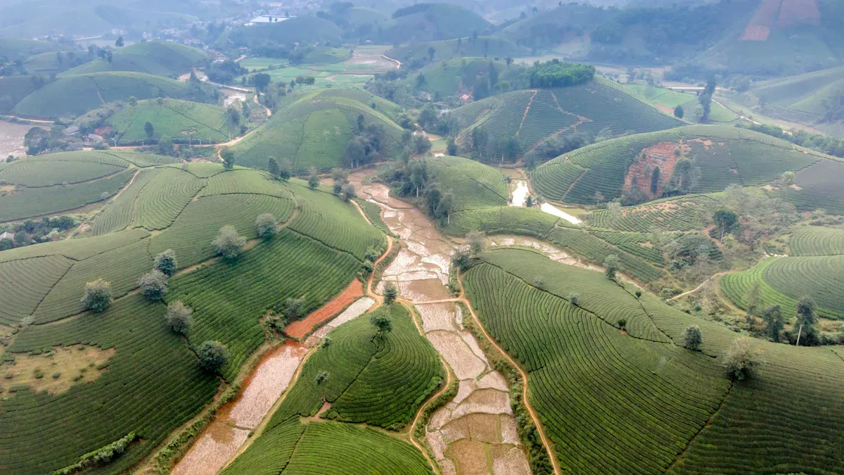 PREPARING FOR YOUR YUNNAN TRIP