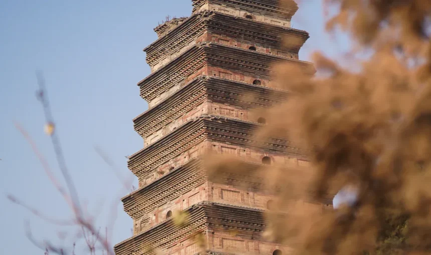 A Cultural Walk Through Big Wild Goose Pagoda What to Expect