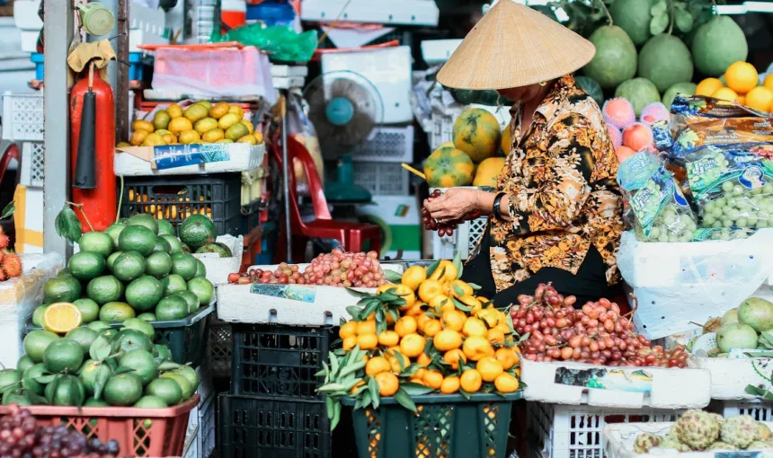 Dali’s Top Vegetarian Eats A Food Lover’s Guide