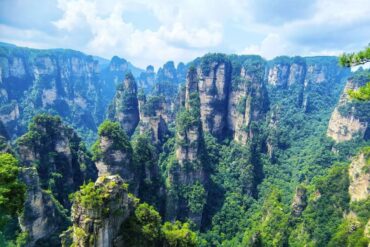 Zhangjiajie National Forest Park,Zhangjiajie,Chinatour Towering sandstone pillars covered in green trees rise through a misty canyon, creating a dramatic forested landscape.