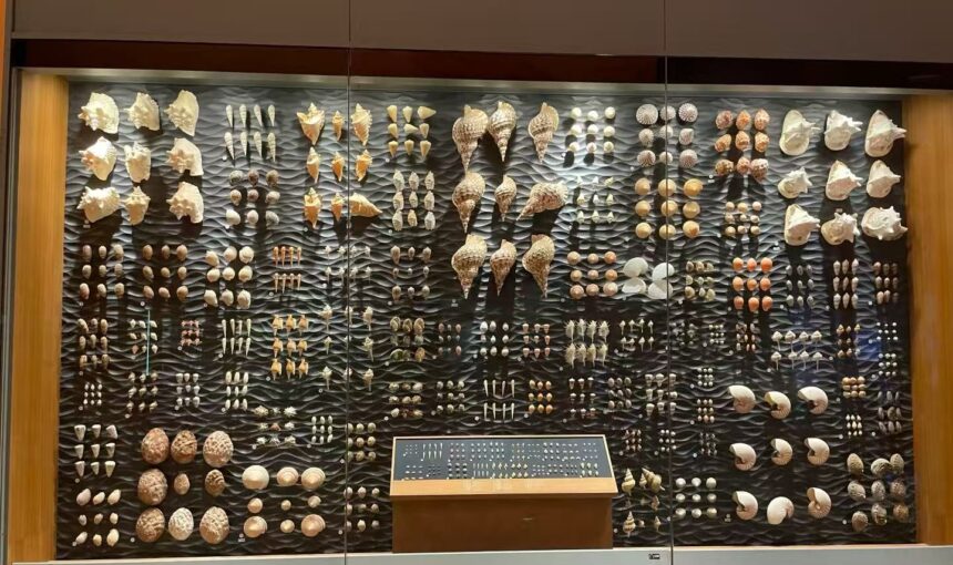 Tips for Making the Most of Your Shanghai Natural History Museum Visit