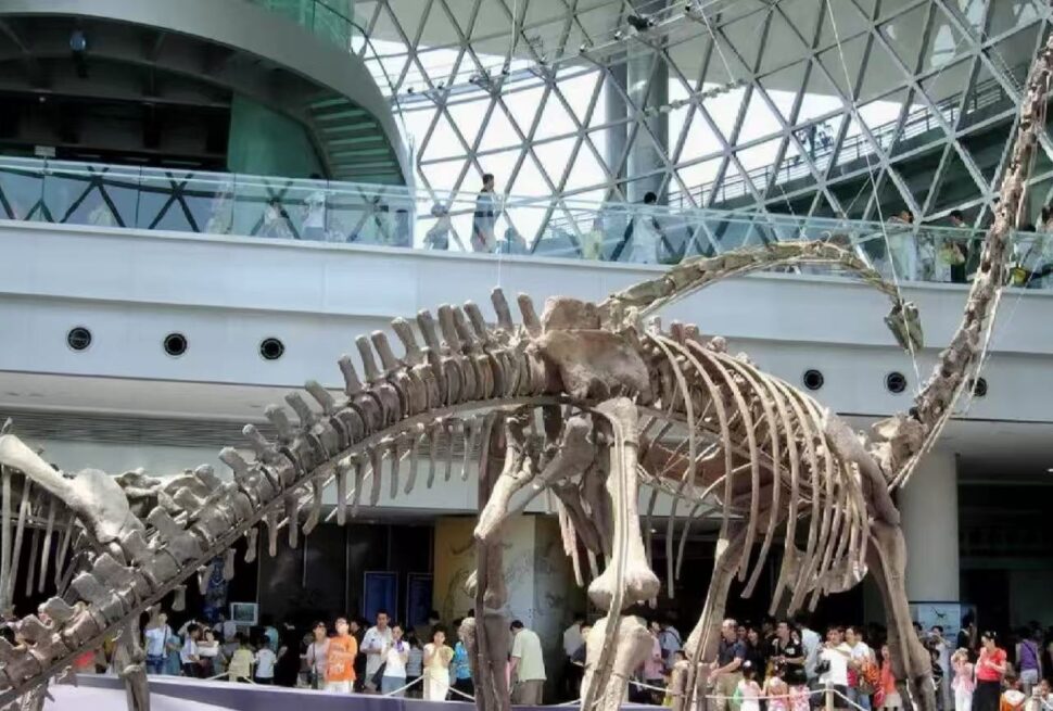 Large dinosaur skeleton on display in a museum atrium with visitors nearby and a glass lattice roof above.