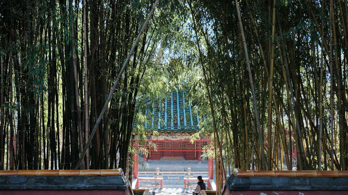 A Recommended Itinerary