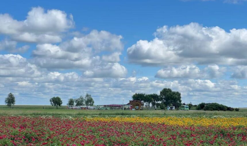 3 Simple Steps for Heilongjiang Zhalong Nature Reserve Museum Tours
