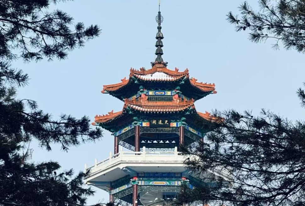 Traditional multi-tier Chinese pagoda with ornate red-and-green roof, framed by pine branches against a blue sky.