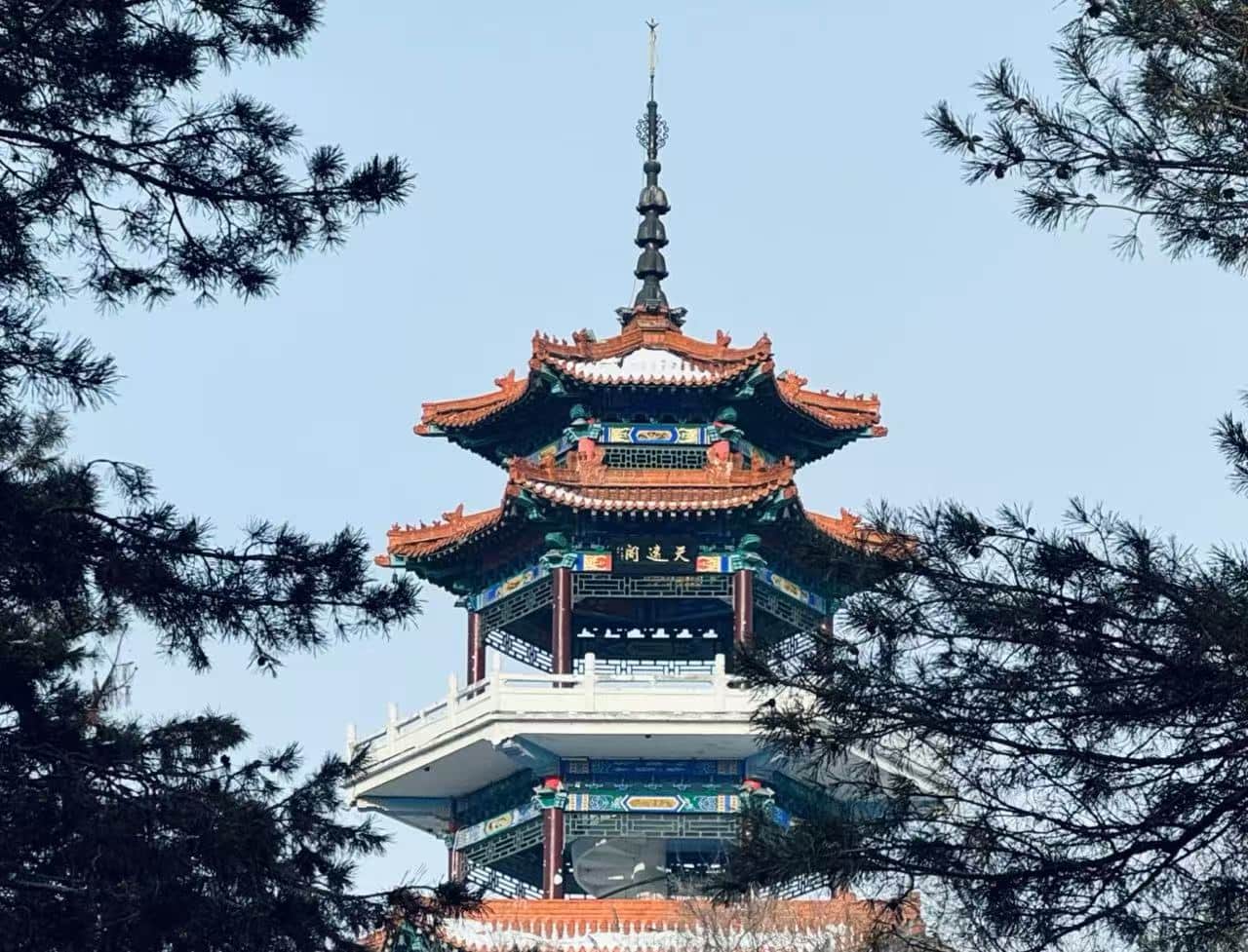 Traditional multi-tier Chinese pagoda with ornate red-and-green roof, framed by pine branches against a blue sky.