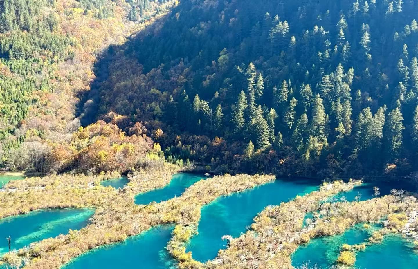 Aerial view of a turquoise river winding through a forested canyon with autumn-colored foliage on the hillsides.
