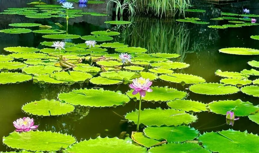 Planning Your Guangzhou Lotus Hill Adventure