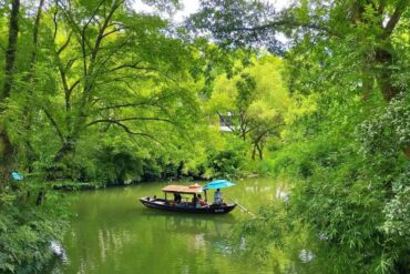 Xixi National Wetland Park,Hangzhou,Chinatour A wooden boat with a blue umbrella carries passengers along a calm, green river surrounded by lush trees and foliage.