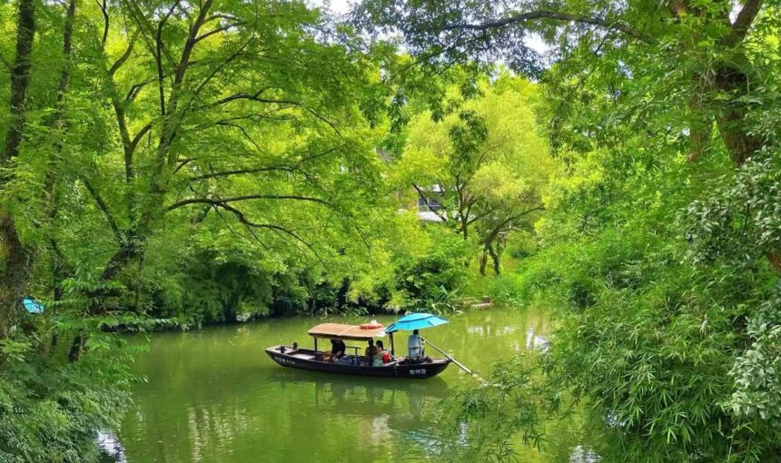 How to Explore Hangzhou Xixi National Wetland Park for Beginners