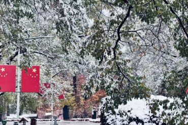 Snow-covered trees in a park with red flags showing yellow stars in the background; a person walks in the distance.