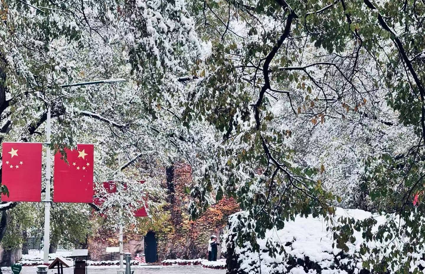 Saertu Forest Park,Daqing,Chinatour Snow-covered trees in a park with red flags showing yellow stars in the background; a person walks in the distance.