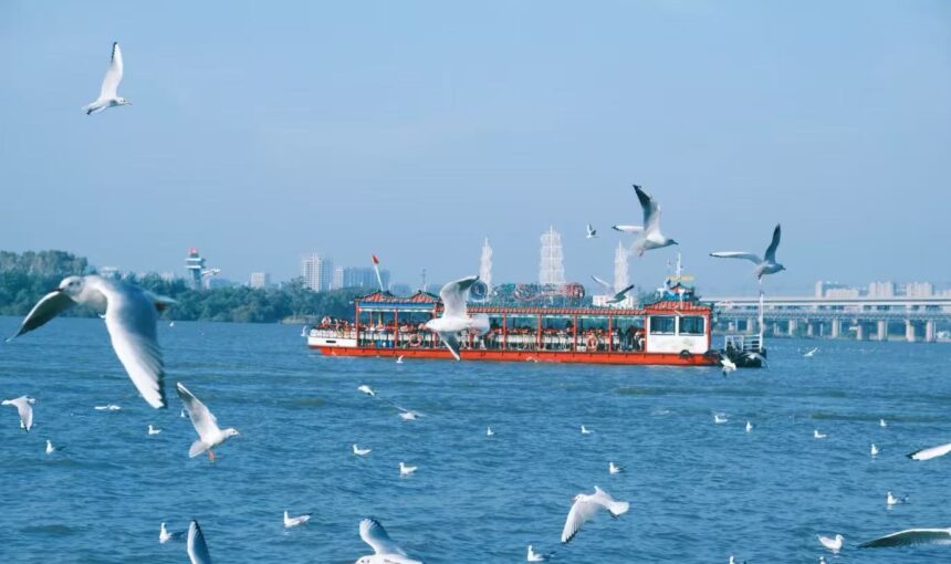 Ultimate Guide to Visiting the Songhua River in Jilin