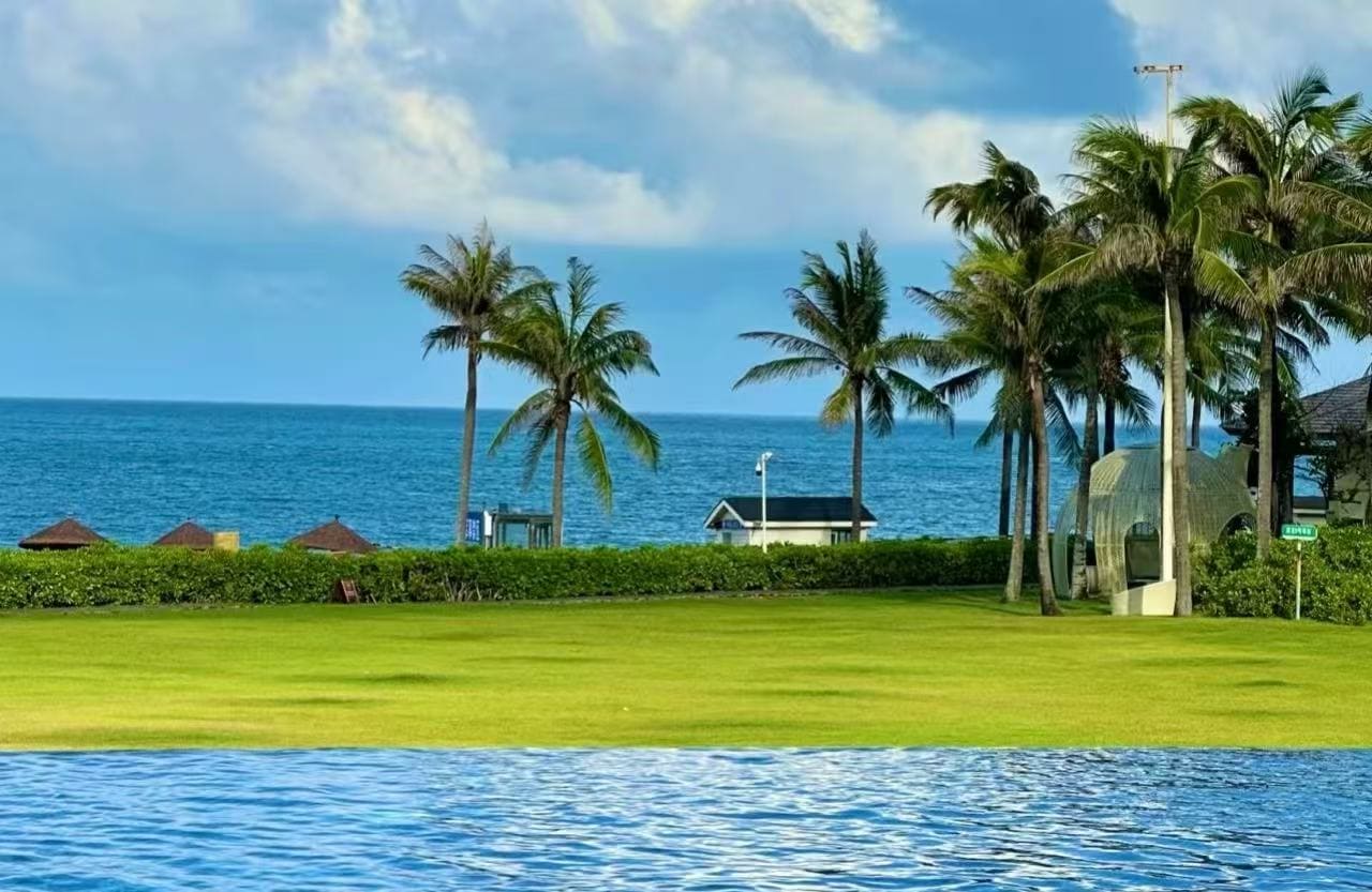 Poolside view at a tropical resort with a green lawn, palm trees, and a blue ocean beyond the hedges.