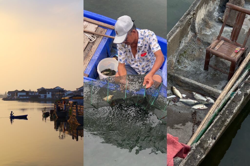 Shaoxing net fishing