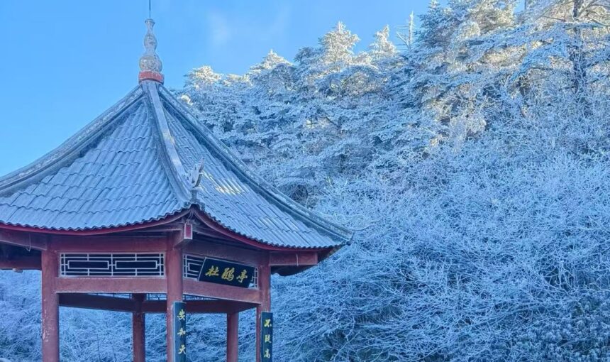 How to Plan Your Trip to Sichuan Mount Emei Scenic Area