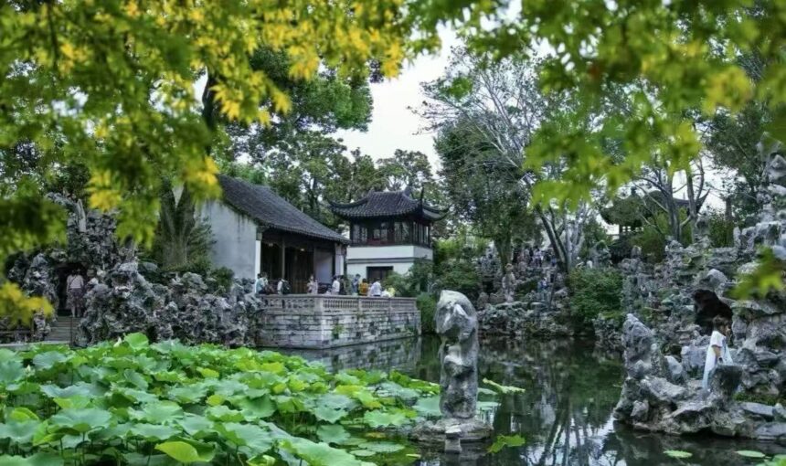 Your Essential Guide to Suzhou Lion Grove Garden