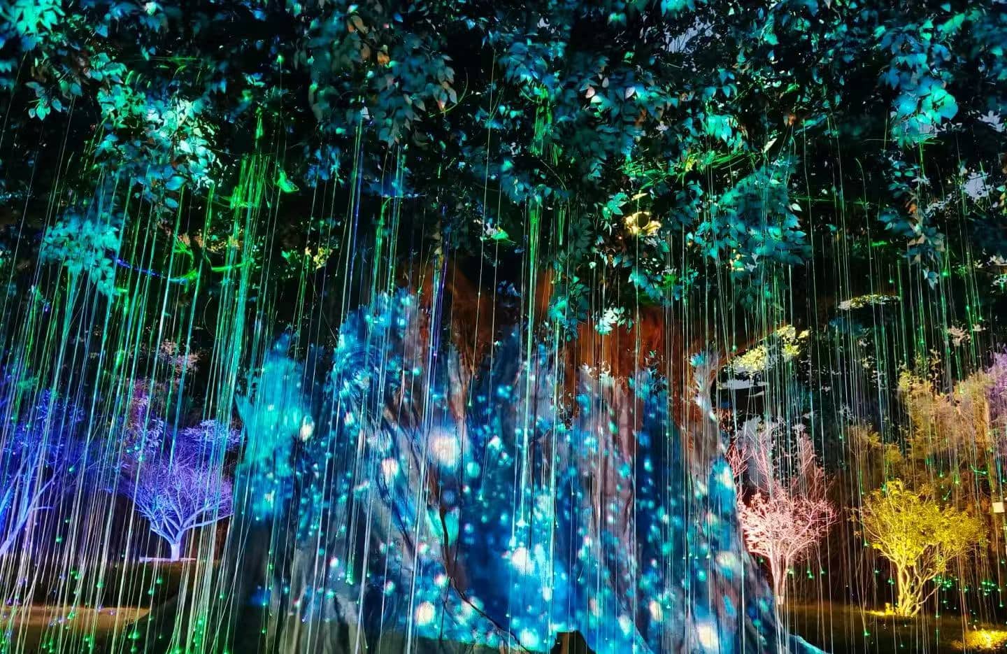 Huashan Miku Scenic Area,Huangshan,Chinatour Colorful light installation in a forested area: hanging light strands glow in blue, green, and purple around a large tree.”