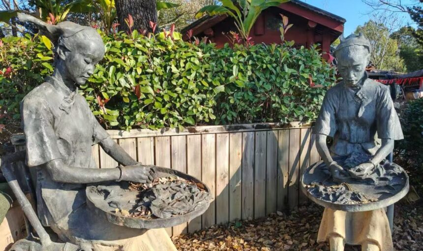 Essential Guide for International Travelers to China Wuyi Tea Expo Park
