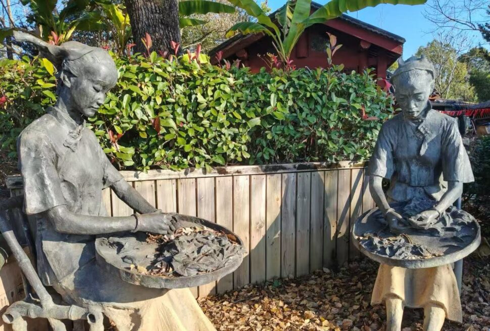 Wuyi Tea Expo Park,Nanping,Chinatour Two life-size stone statues of women in traditional outfits, each holding a round tray filled with rocks, set in a garden with a wooden fence and leafy plants behind them