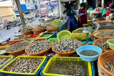 Donghe Market,Zhoushan,Chinatour Outdoor market seafood stall with baskets of clams and oysters on display, colorful tubs and crates in the foreground.