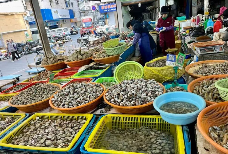 Donghe Market,Zhoushan,Chinatour Outdoor market seafood stall with baskets of clams and oysters on display, colorful tubs and crates in the foreground.