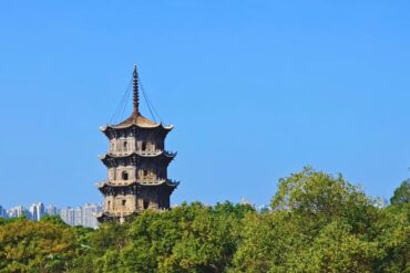 Kaiyuan Temple and West Street,Quanzhou,Chinatour Ancient multi-tier pagoda rising above green trees with a city skyline in the distance under a clear blue sky.