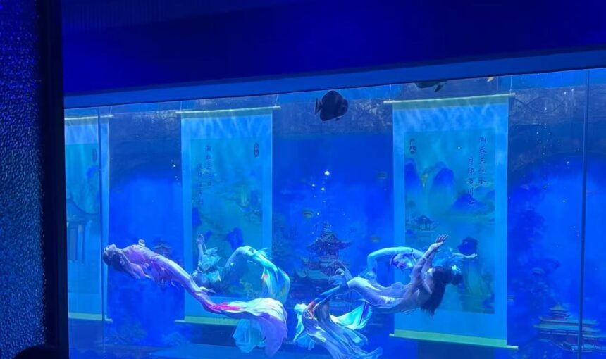 Discover Ningbo Ocean World with This Ultimate Visitor Guide