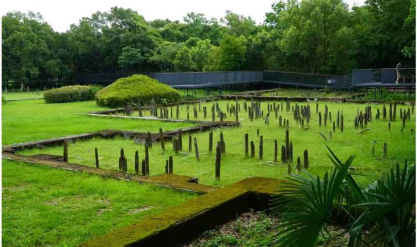 Top Tips for Exploring the Hemudu Site Museum in 2026