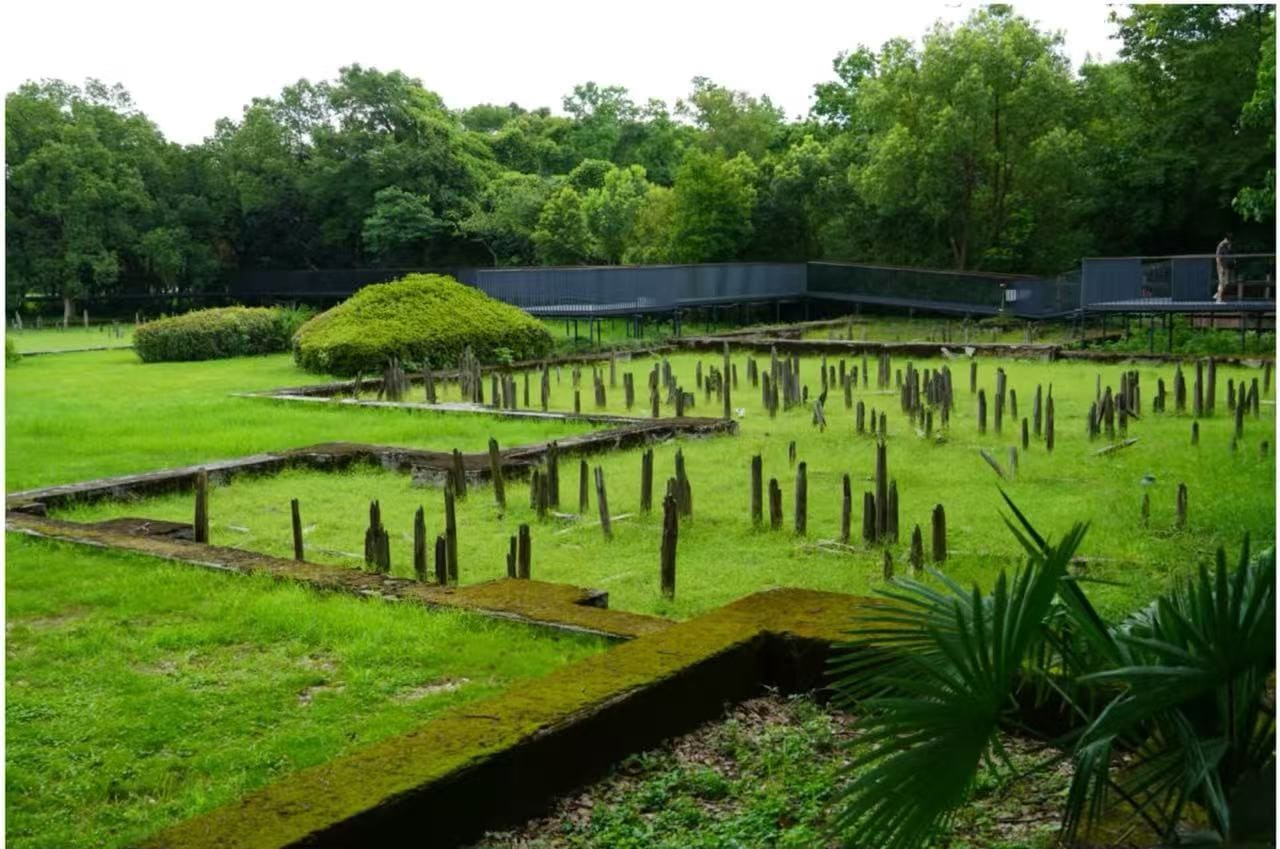 Hemudu Site Museum,Ningbo,Chinatour Ruin site with moss-covered rectangular stone foundations and vertical wooden posts set in a grassy field, with trees in the background and a walkway.