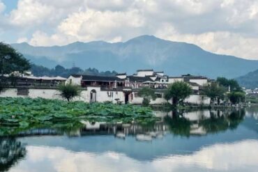 Hongcun & Xidi Villages,Huangshan,Chinatour Tranquil riverside village with white-walled houses, a lotus-covered pond, and misty mountains in the background.