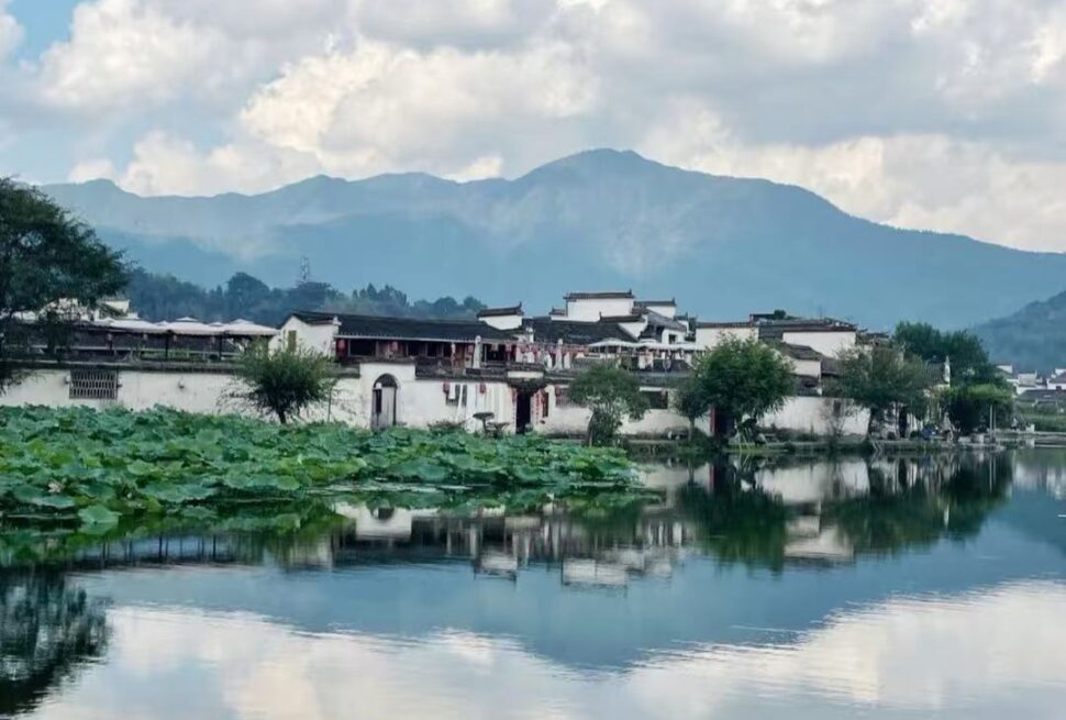 Hongcun & Xidi Villages,Huangshan,Chinatour Tranquil riverside village with white-walled houses, a lotus-covered pond, and misty mountains in the background.