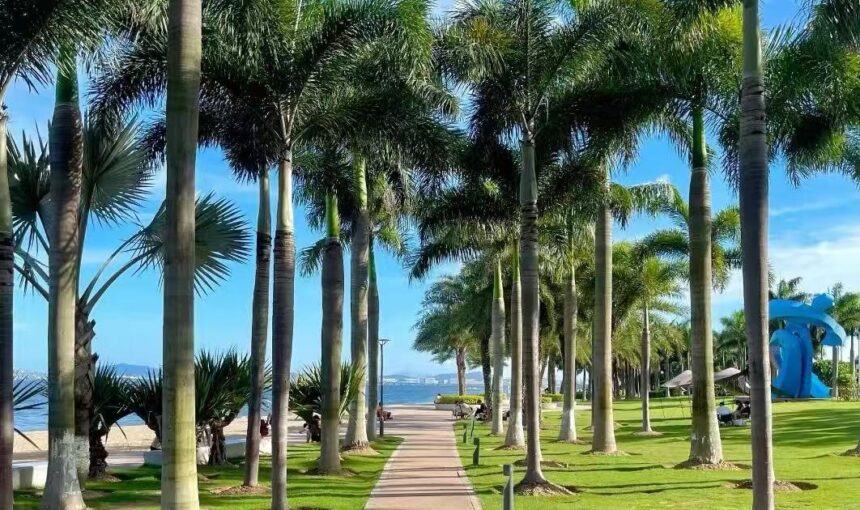 Tips for Biking and Walking Xiamen Island Ring Road