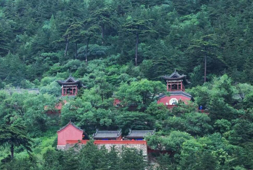 Mount Heng,Datong,Chinatour Red traditional temple buildings nestled in a lush green forest hillside on a slope with trees surrounding them.